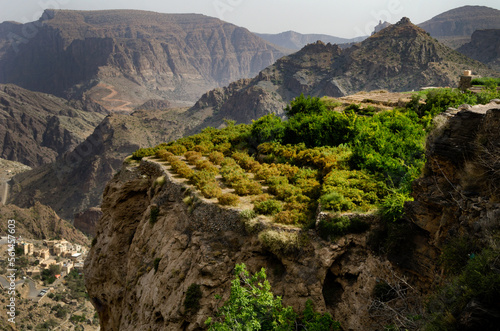 The green mountains called Jebel Akhdar of the Hajar mountain range, the harsh interior of Oman, home of traditional rose harvesting and fruit farming