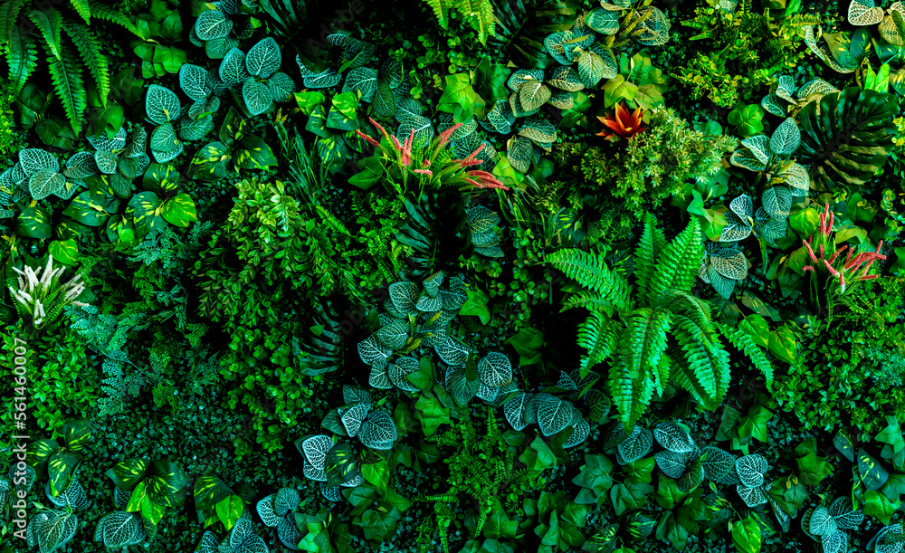 Herb wall, plant wall, natural green wallpaper and background. nature