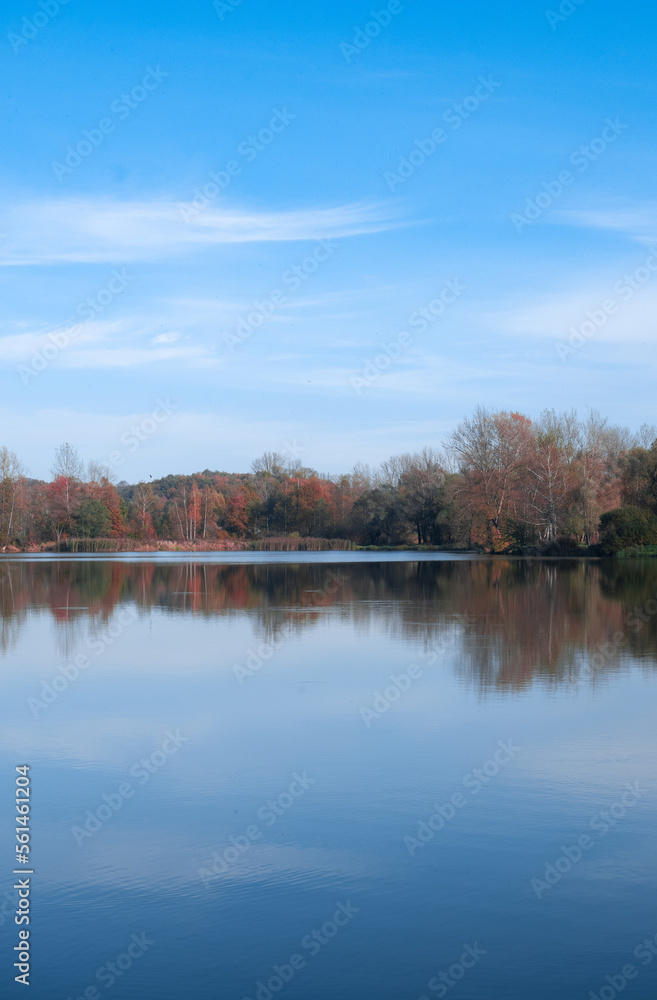 Autumn trees reflected in water