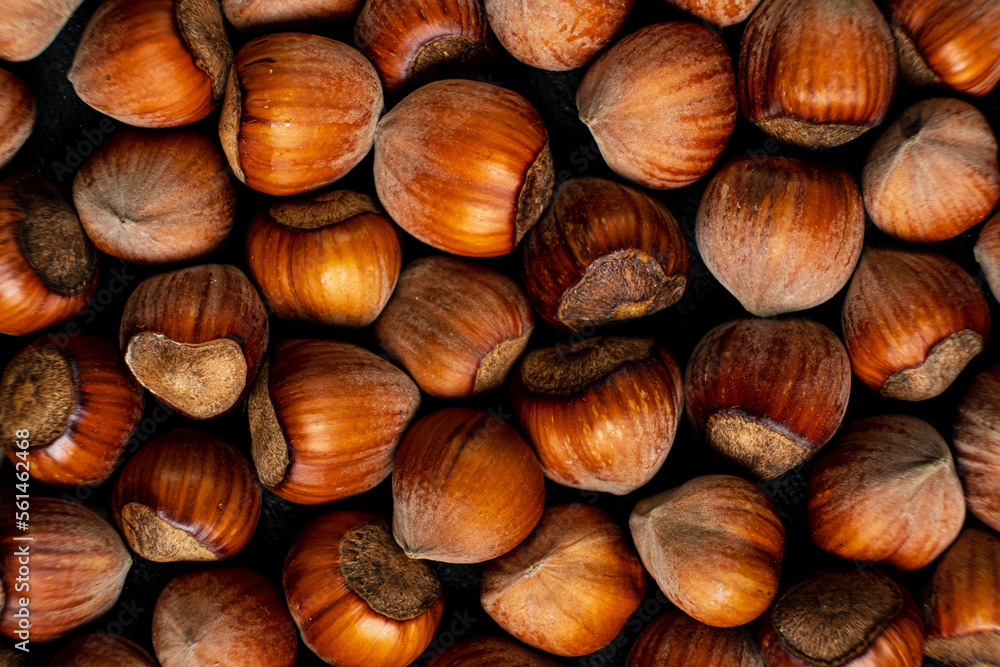 organic hazelnuts on the dark background organic hazelnuts on the dark background