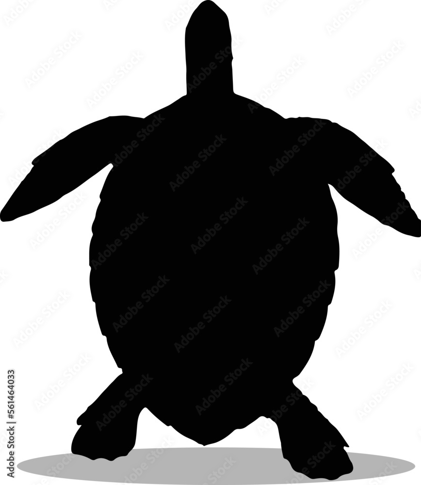 Sea turtle Silhouette, cute Sea turtle Vector Silhouette, Cute Sea