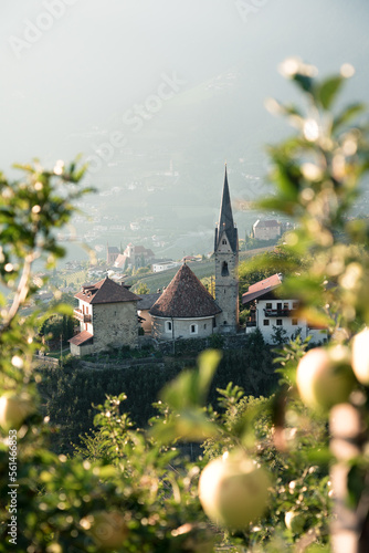 Apfelplantage und alte Kirche in Südtirol bei Meran im Abendlicht. photo