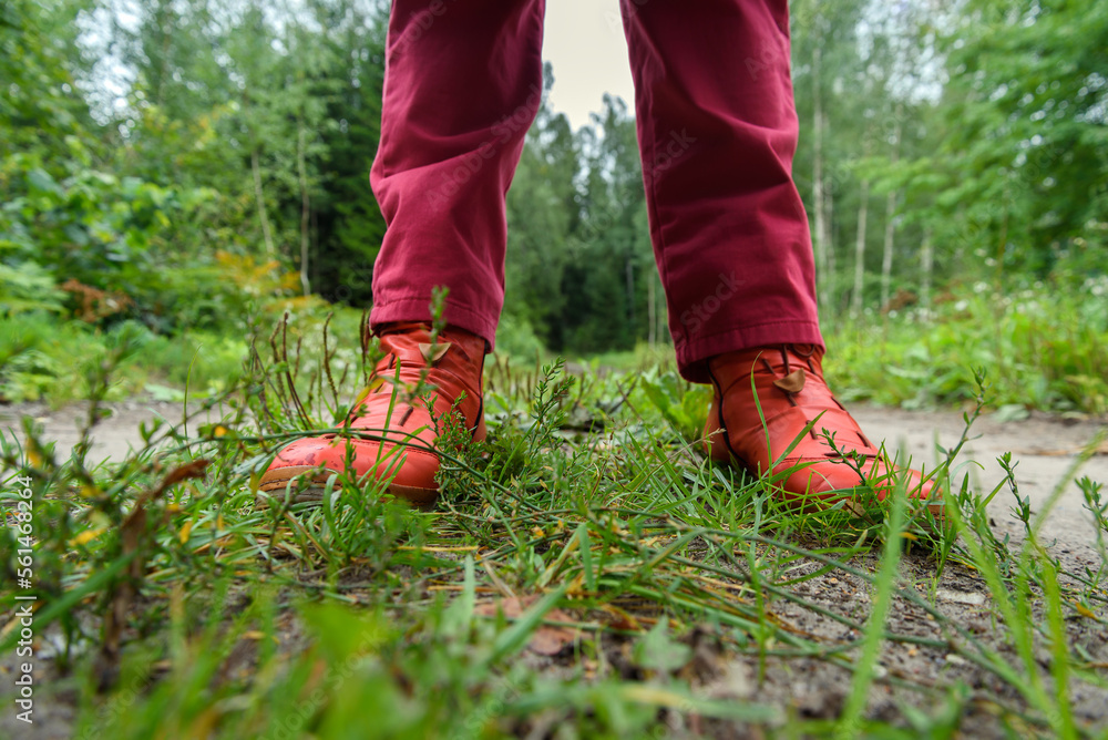 Person in forest. Person in forest.