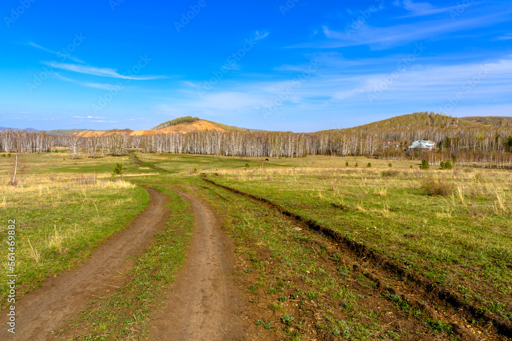 Fototapeta premium South Ural forest road with a unique landscape, vegetation and diversity of nature.