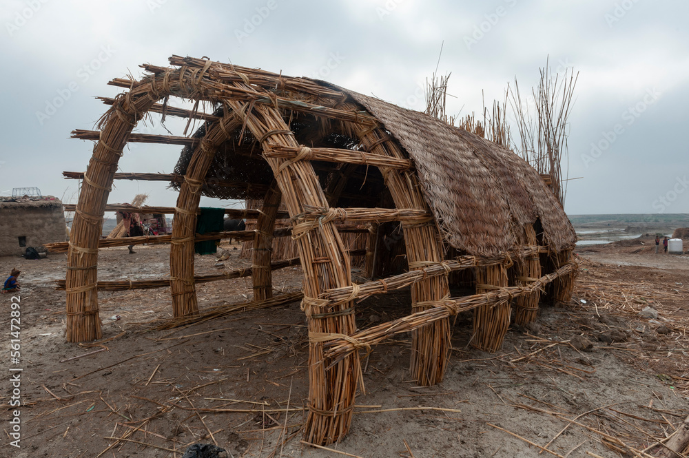 Traditional Iraqi reed house under construction, known as a Mudhif and