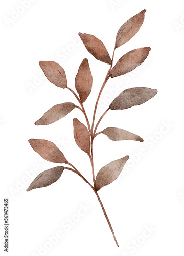 Leaf watercolor hand painting floral illustration. Leaves, plant, foliage, branch isolated on white background.