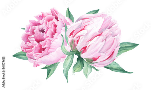 Watercolor peonies bouquet isolated on white background. Hand painted pink flowers and green leaves. Can be used for greeting cards, wedding invitations, save the date, fabric prints.