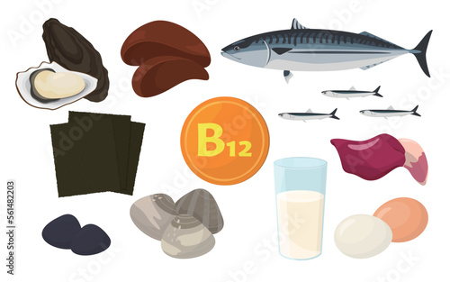 Vector illustration of foods containing vitamin B12.