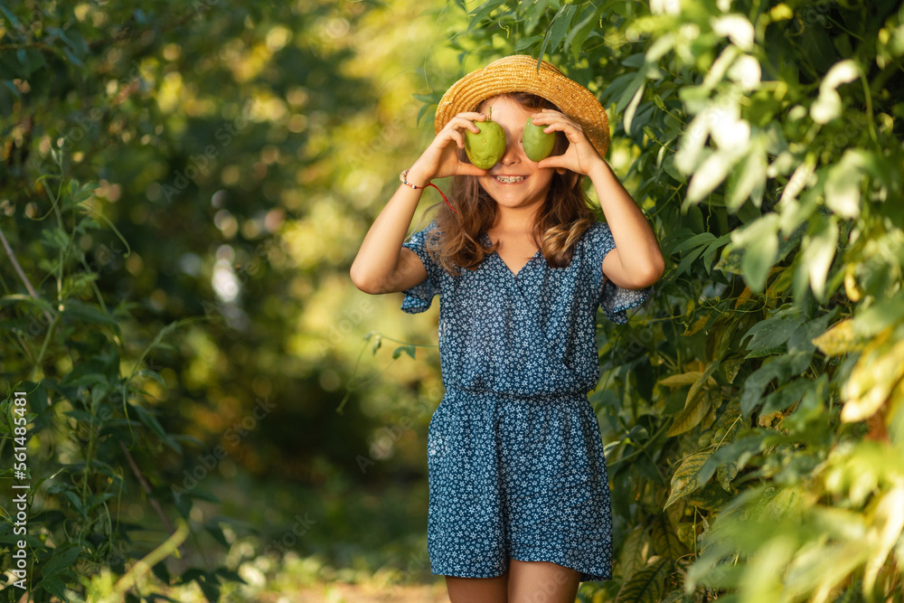 Funny little girl in a straw hat holds passion fruit near her eyes. Summer gardener. The concept of organic farming and harvesting