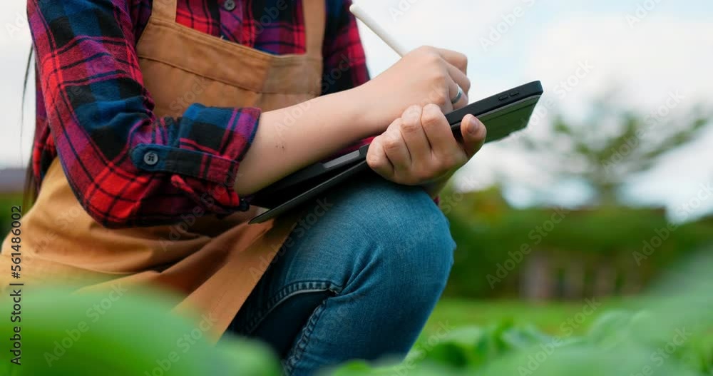 Close up hands of young Female Agricultural Wear plaid shirt and apron