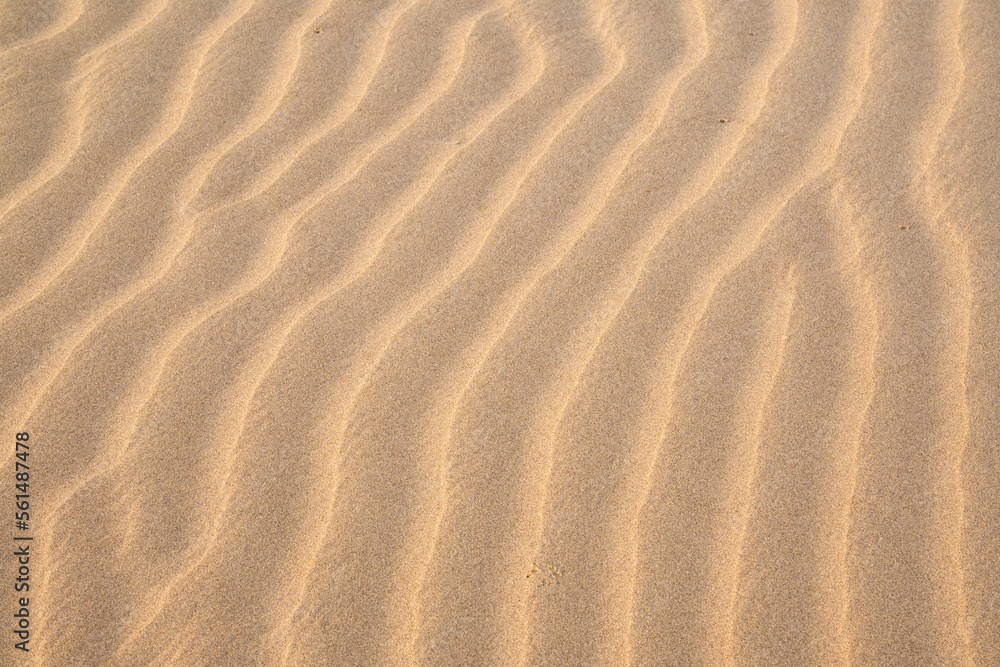 Texture of sand dunes as background top view Texture of sand dunes as background top view