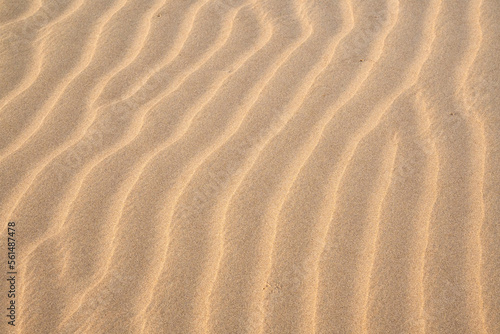 Texture of sand dunes as background top view © ROMAN_P