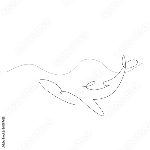 Fototapeta Naklejka Na Ścianę i Meble -  Tattoo illustration of an orca (also known as a killer whale), whale