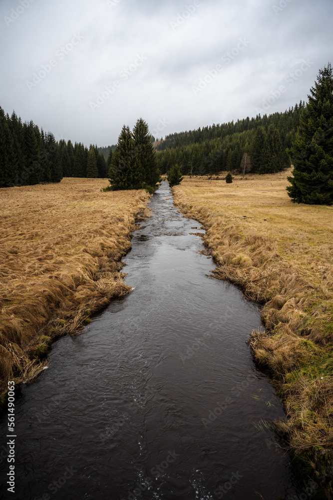 Schwarzwassertal Schwarzwassertal