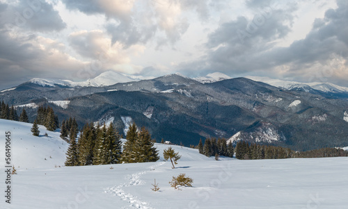 Picturesque winter mountain panorama view from Skupova mountain slope, Ukraine, view to Chornohora ridge and Pip Ivan mountain top with observatory building, Carpathian.