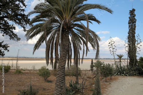 View of the dried up salt lake of Larnaca, Cyprus
