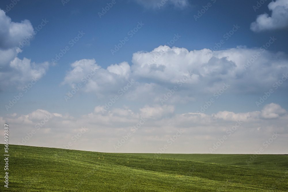 Rolling green hills and blue sky with fluffy clouds Rolling green hills and blue sky with fluffy clouds