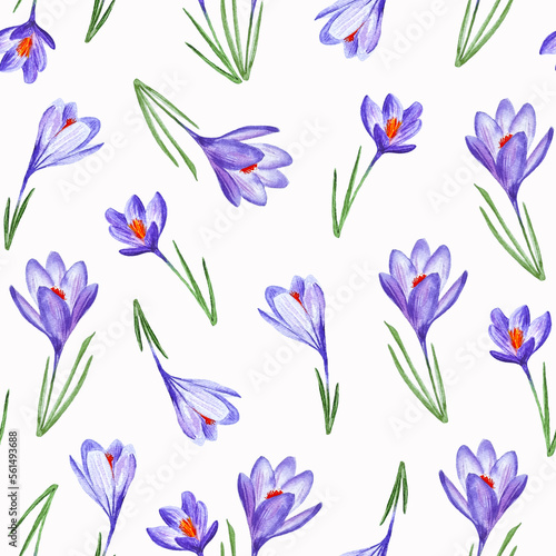 Purple crocus flowers watercolor seamless pattern spring flowers for decor