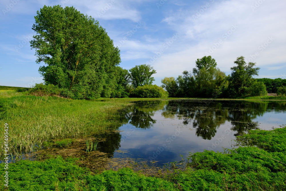 Kleine Seen in der Nähe des Bürgleinsees bei Grettstadt, Landkreis Schweinfurt, Unterfranken, Franken, Bayern, Deutschland