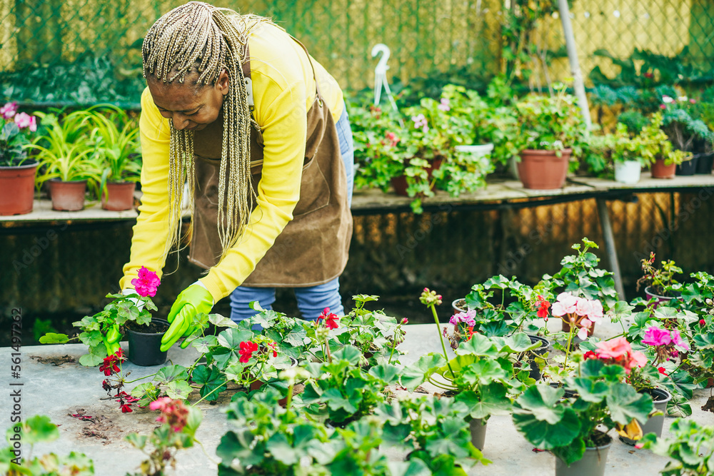 Fototapeta premium African woman preparing flowers plants inside nursery garden - Focus on face