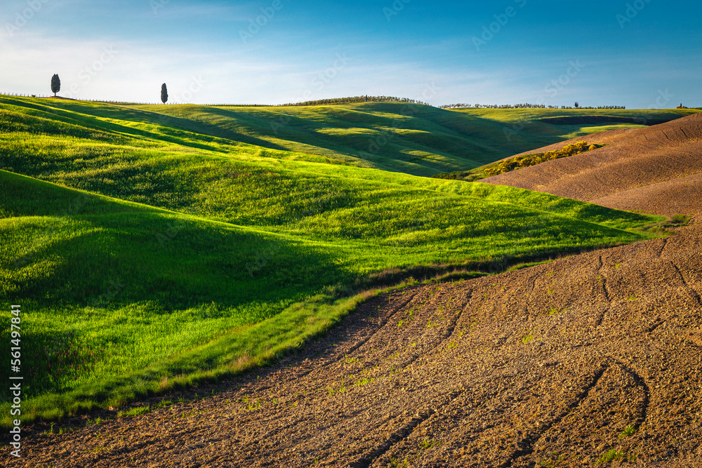 Tuscany spring landscape with green meadows and plowed fields