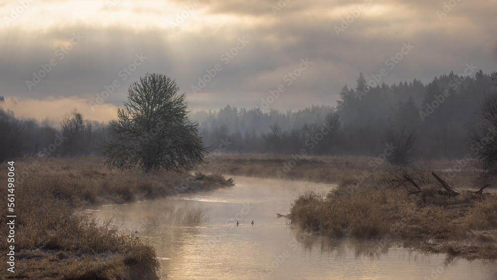 Obraz premium morning mist over the river