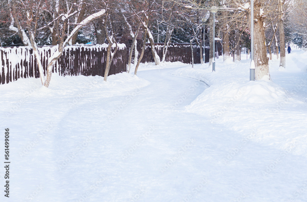 Naklejka premium Hiking trail in snow-covered, beautiful winter landscape on winter day.Snowy tunnel between trees