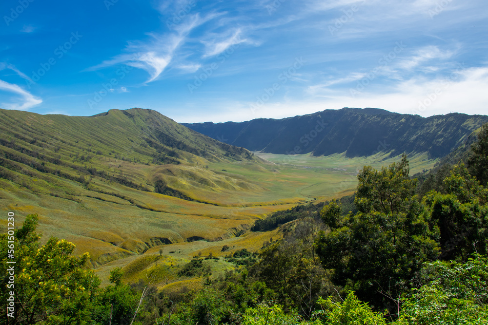 Fototapeta premium Savana and Teletubbies Hill at Bromo Tengger Semeru National Park, East Java, Indonesia. Indonesian Landscape