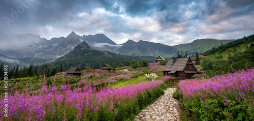 Fototapeta Naklejka Na Ścianę i Meble -  Beautiful summer morning in the mountains - Hala Gasienicowa in Poland - Tatras