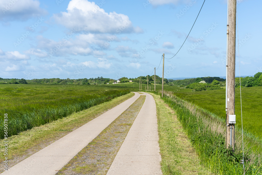 Getreidefeld mit Feldweg auf der Insel Rügen an der Ostseeküste Getreidefeld mit Feldweg auf der Insel Rügen an der Ostseeküste