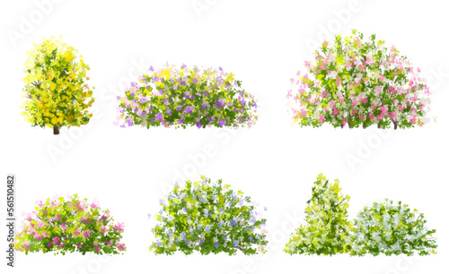 Vector watercolor blooming flower tree side view isolated on white background for landscape and architecture drawing, elements for environment and garden,botanical elements for section in spring 