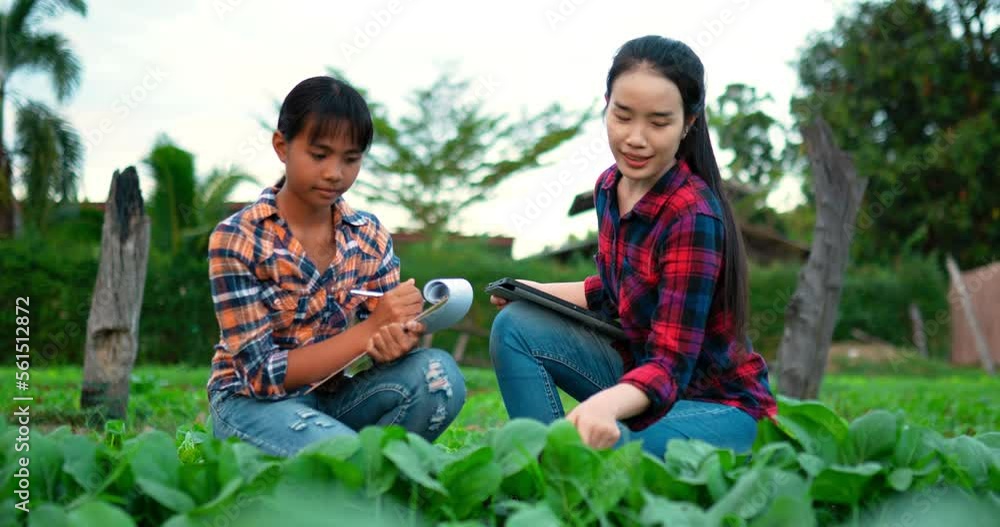 Handheld shot, Young Female Agricultural Wear plaid shirt holding Tablet in hand while teaching her sister planting, Smart farming with technology device concept Handheld shot, Young Female Agricultural Wear plaid shirt holding Tablet in hand while teaching her sister planting, Smart farming with technology device concept