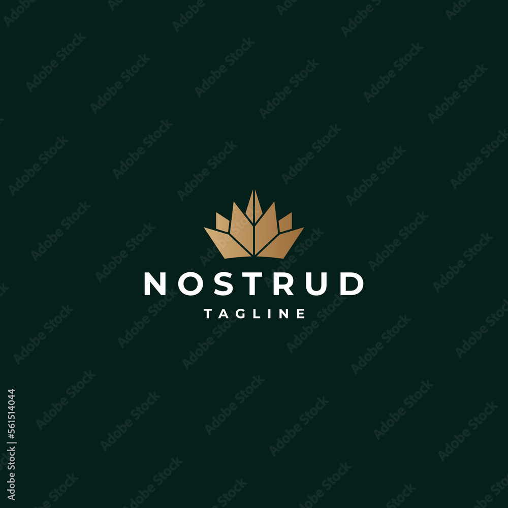 Fototapeta premium Crown logo design vector template