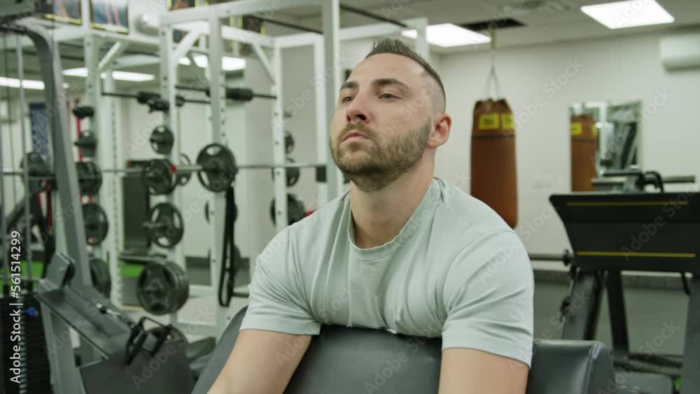 Muscular Athletes Actively Training in the Modern Gym Muscular Athletes Actively Training in the Modern Gym
