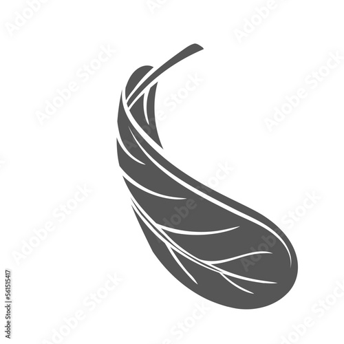 Salad leaf glyph icon vector illustration. Silhouette of raw plants and healthy leaf vegetable, levitation and flight of natural organic leaves for cooking vitamin vegetarian dish, herb ingredient