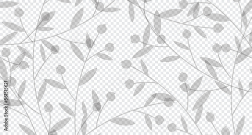 Realistic transparent of a berries with leaves. Background with berries and leaves shadows. Vector illustration