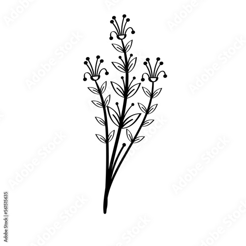 Hand Drawing Leaves and Flower Element