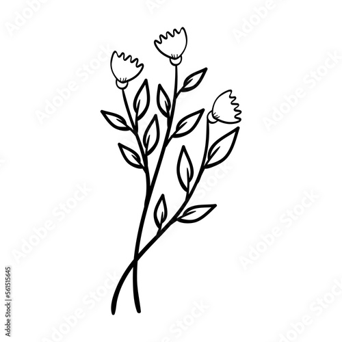 Hand Drawing Leaves and Flower Element