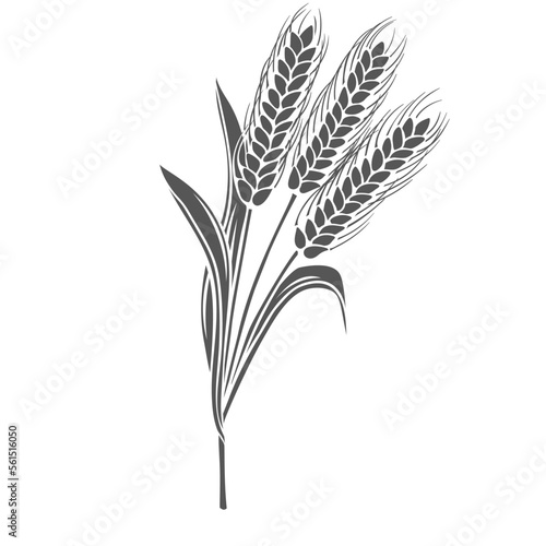 Wheat cereal crop plant, glyph icon vector illustration. Cut black silhouette of spikelets wheat to produce flour for baking bread and Wheat text