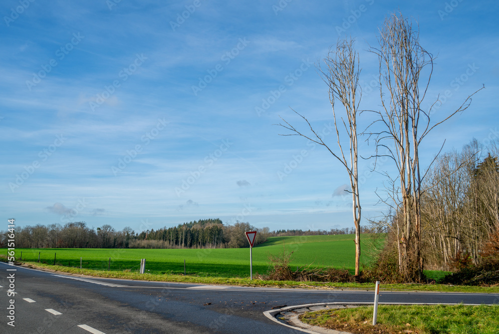 Road crossing in the Ardennes, Belgium
