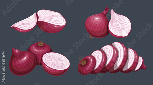 Red onion set, organic vegetable and healthy food ingredient for cooking vector illustration. Cartoon isolated whole purple onion in peel, fresh raw slices, shallot bulbs cut in half or quarter