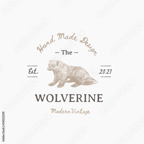 Land drawn vector illustration of wolverine, logo