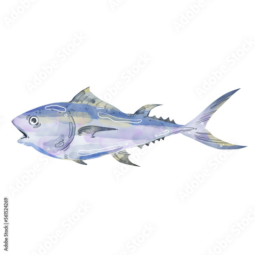 watercolor tuna