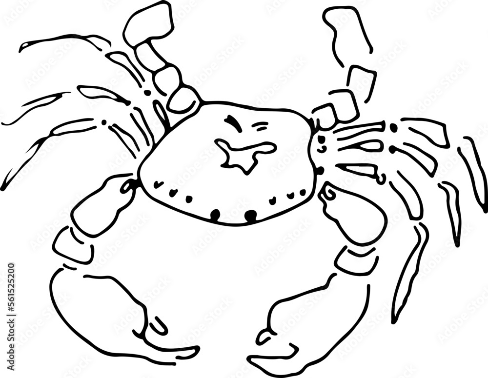 sketch crab sketch crab