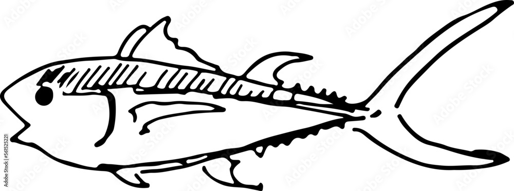 sketch squid sketch squid