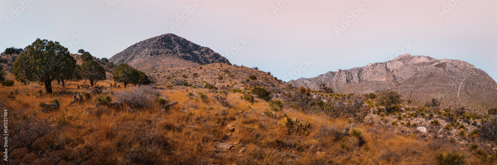 Guadalupe Mountains National Park wilderness landscape, with views of Guadalupe Peak and Hunter Peak over the arid plants on Pine Springs Meadow in Salt Flat, Texas, USA Guadalupe Mountains National Park wilderness landscape, with views of Guadalupe Peak and Hunter Peak over the arid plants on Pine Springs Meadow in Salt Flat, Texas, USA