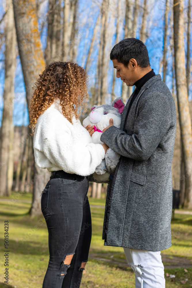 latin Boyfriend giving a teddy to his girlfriend on Valentines day latin Boyfriend giving a teddy to his girlfriend on Valentines day