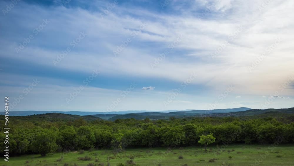 Wasteland with bushes and grass in front of a forest against a sky with running clouds Wasteland with bushes and grass in front of a forest against a sky with running clouds