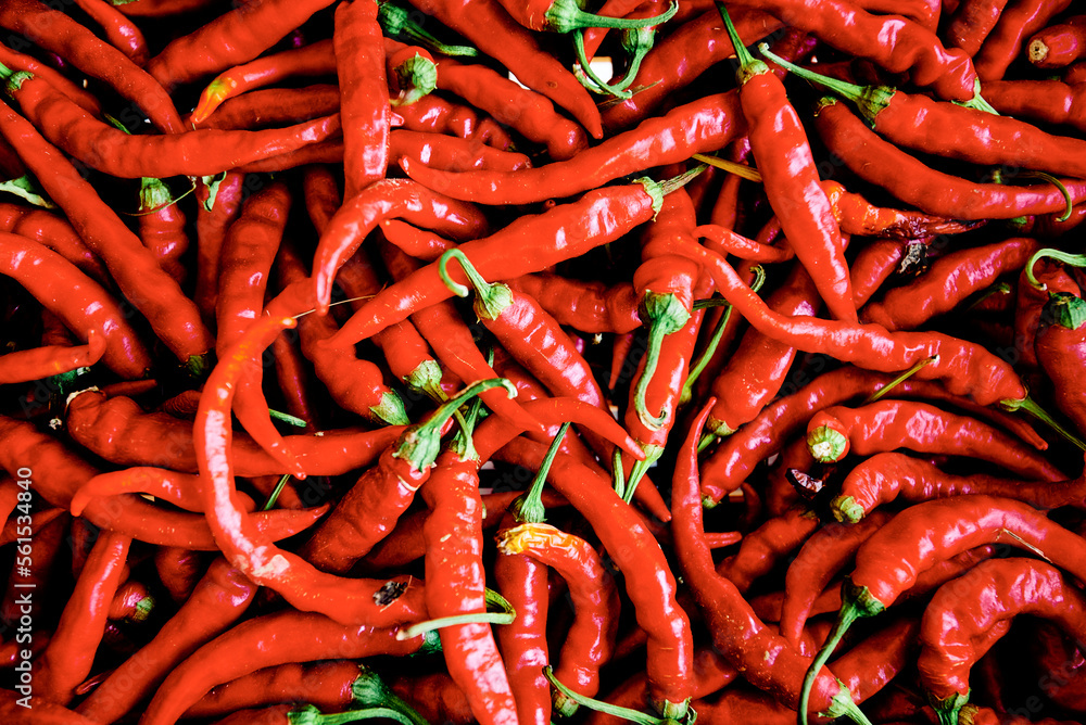 Chilischoten als Hintergrund, Rezepte, Essen. Chilischoten als Hintergrund, Rezepte, Essen.