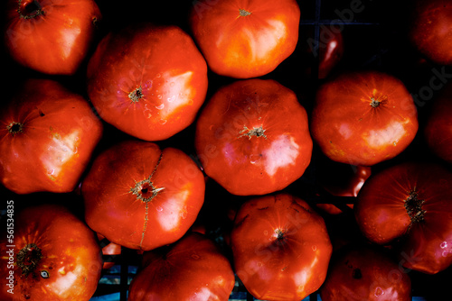 Tomaten aus dem Garten.  © zenturio1st